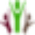 Praxis für Physiotherapie & Massage Ceylan
