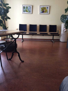 https://www.yelp.com/biz/vladimir-levin-kassel