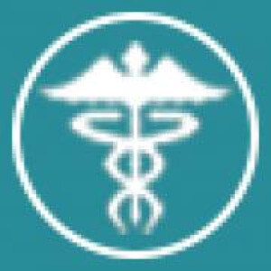 Logo Praxisklinik für Venen und Enddarmerkrankungen Prof.(MD) Dr. Dr. Stefan Hillejan