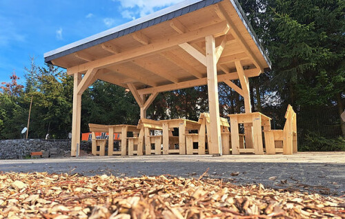 Holzunterstand mit Gründach