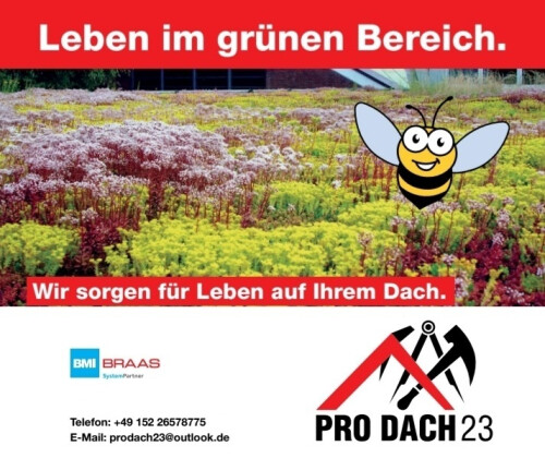 Dachbegrünung