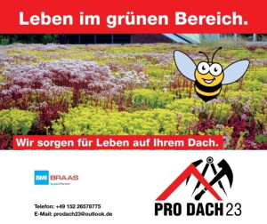 Dachbegrünung