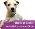 Logo billig-banner24.de Knud Hagedorn & Niko Albers GbR