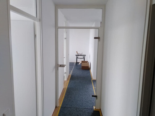 Glastürblatt an altem Rahmen