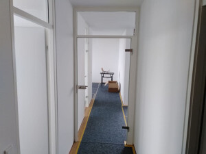 Glastürblatt an altem Rahmen