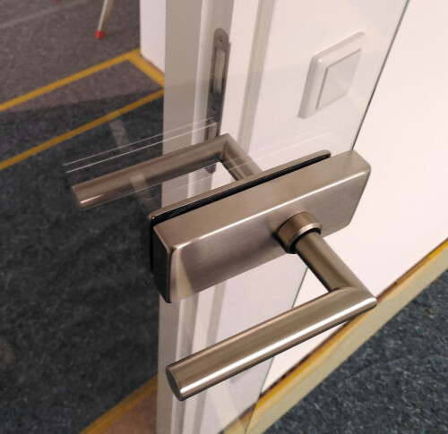 Glastürblatt an altem Rahmen