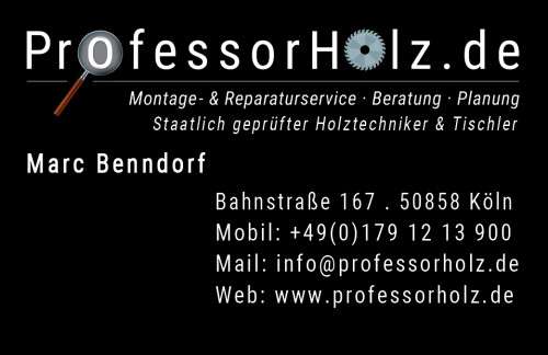 Visitenkarte-PROFESSORHOLZ