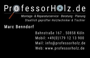 Visitenkarte-PROFESSORHOLZ