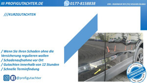 Kurzgutachten