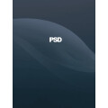 PSD Group GmbH