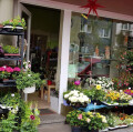 Bild: Pusteblume mit Pfiff Blumenfachgeschäft in Duisburg