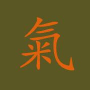Logo QI55 oHG