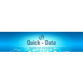 Quick-Data Computer Expertise