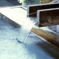Racoonworks Pool & Whirlpoolfilter