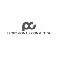 Raith Professionals Consulting GmbH