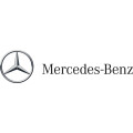 Raters Mercedes-Benz