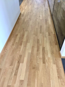 Eiche Einzelstab.jpg