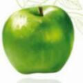 Logo Rausch Druck GmbH
