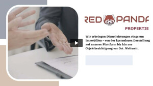 RPP geschaeftlich.mp4