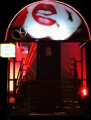 Bild: Red Rose in Berlin
