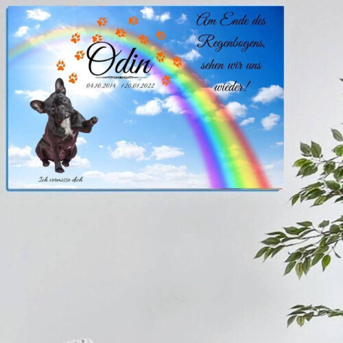 haustierfotos-regenbogenbruecke-leinwandbild-hundebild.jpg