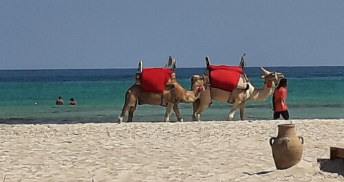 Djerba