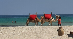 Djerba