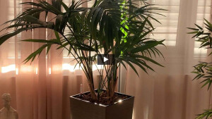 RELAXplus-DaySpa.mp4