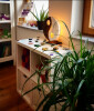 Bild: Relax&Heal
