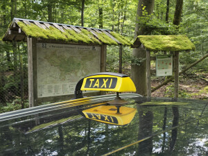 Renna Taxi Tübingen im Naturpark Schönbuch – Fahrten in die Natur und Ausflugsziele