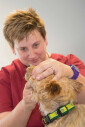 https://www.yelp.com/biz/dr-med-vet-bettina-reuter-bergisch-gladbach-3
