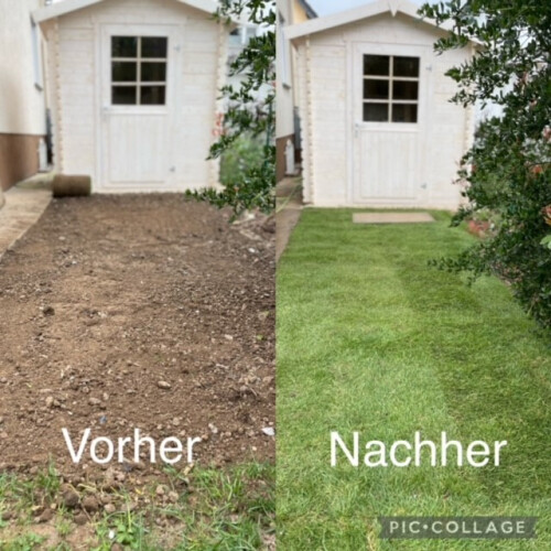Gartenpflege / Rasenarbeiten