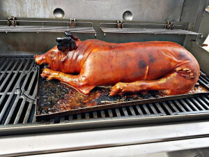 Ferkel vom Grill