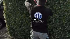 WhatsApp Video 2024-10-07 at 14.49.43.mp4