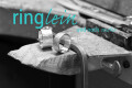 Bild: RINGLEIN-SHOP Heike Motyl in Recklinghausen, Westfalen