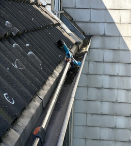 WhatsApp Bild 2024-07-05 um 10.57.19_9fea4333.jpg