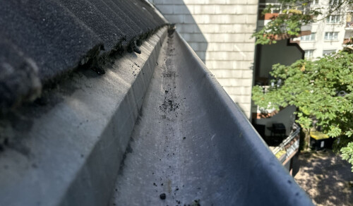 WhatsApp Bild 2024-07-05 um 10.57.19_8c4a760a.jpg