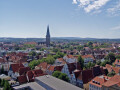 Logo Rolefs Immobilien