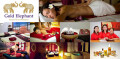 Logo Gold Elephant, Royal Thai Wellness