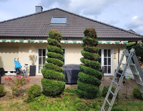 RX Immobilienservice