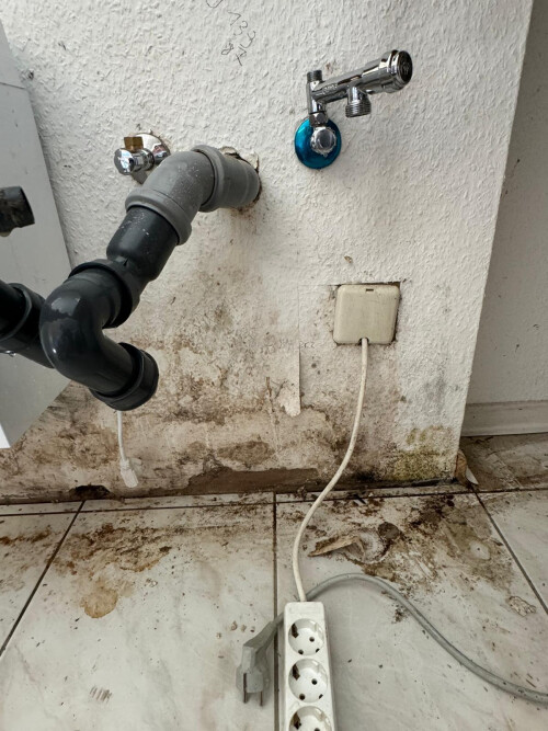 WhatsApp Bild 2025-02-25 um 15.50.04_721f95a6.jpg