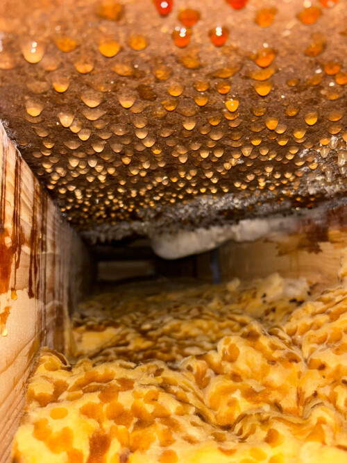 WhatsApp Image 2024-11-26 at 14.15.32 (2).jpeg