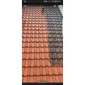 SanierungsProfi Neigert Dach-Fassaden-Steinreinigung