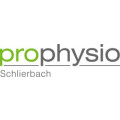 Sascha May ProPhysio - Physio- und Manuelle Therapie, Training