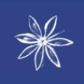 Logo Saxonia-Catering GmbH & Co. KG
