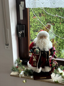 Kralltec Fenstersicherung