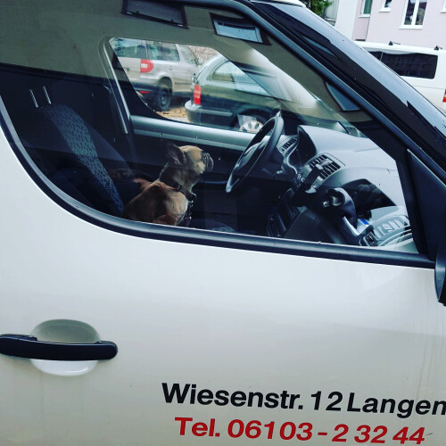 Bester Mitarbeiter