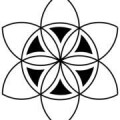 Logo Schmid-Riedl