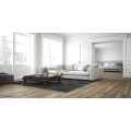 Schulze & Filges Immobilien (GbR)