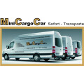 Serviceteam Minicargocar